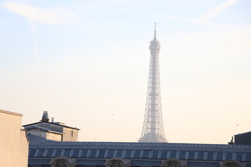 Fototapeta na wymiar Morning in Paris