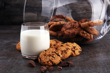 Chocolate cookies on white background. Chocolate chip cookies shot