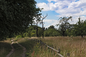 Nature conservation area Schwanheimer dune in Frankfurt am Main, Hesse, Germany