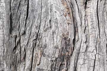 Rustikale Holz Textur / Rustikaler grau brauner Holz Hintergrund mit Struktureffekt.