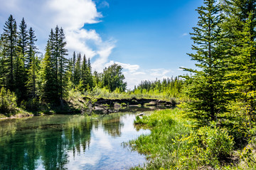 Griffith Woods Park