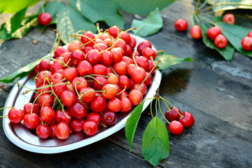 Fototapeta na wymiar Fresh organic cherries in metal can on wooden table background with sun lights