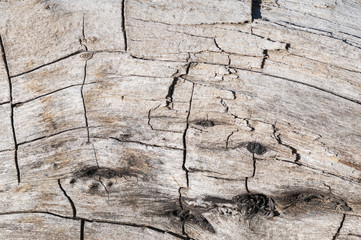 Rustikale Holz Textur / Rustikaler grau brauner Holz Hintergrund mit Struktureffekt.