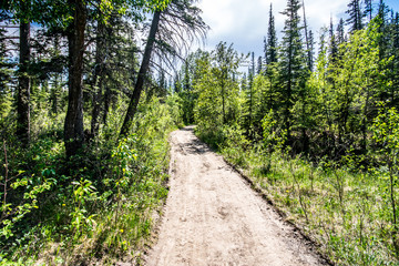 Griffith Woods Park