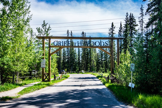 Griffith Woods Park