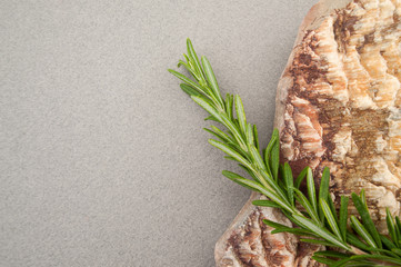 Branch of fresh spicy rosemary and a natural sea stone on a gray pastel background..
