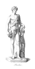 Classical Myth - Dionysus - Bacchus