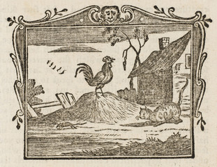 Cat  Cock - Mouse