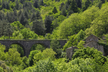 Fototapeta na wymiar Pont et vieille maison au coeur de la forêt des Cévennes, département du Gard en région Occitanie, France