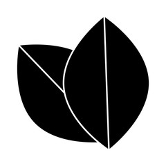 leaves icon imave