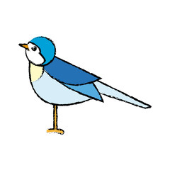 cute bird in a winter christmas image vector illustration