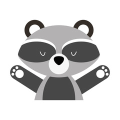 Animal raccoon cartoon icon vector illustration design graphic
