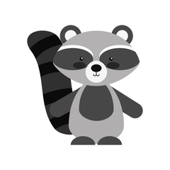 Animal raccoon cartoon icon vector illustration design graphic