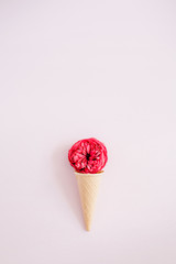 Waffle cone with red rose flower on pale pastel pink background. Flat lay, top view