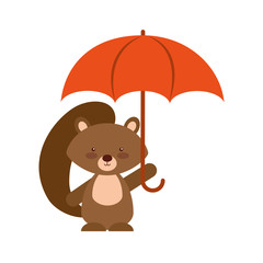 Animal squirrel cartoon icon vector illustration design graphic