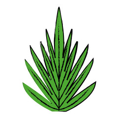 leave foliage nature botanical decoration vector illustration