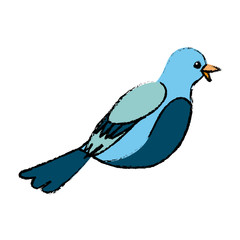 Fototapeta premium cute bird exotic beak feather adorable icon vector illustration