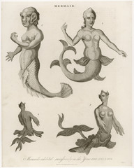 Mermaids in London. Date: 18th century