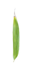 Bamboo Leave for Compositing