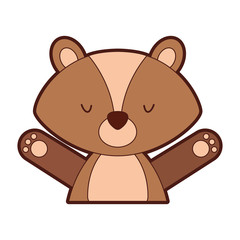 Animal squirrel cartoon icon vector illustration design graphic