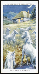 Fairy Horses