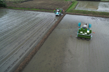 梅雨の合間の田植え風景 日本の田植え