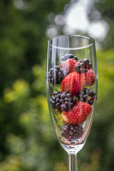 Vertical photo of colorful strawberries and blackberries in a champagne glass with green trees in soft focus in the background