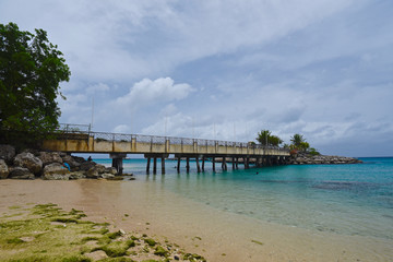 Barbados Beach - obrazy, fototapety, plakaty