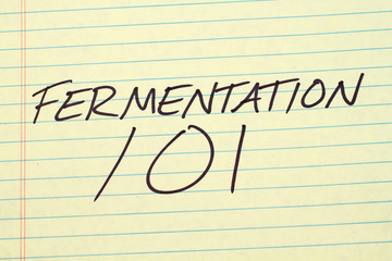 The words "Fermentation 101" on a yellow legal pad