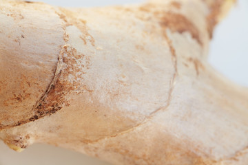 Whole, fresh ginger root