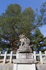Statue of lion-dog called Komainu at the main gate as the guardian of Kitano Shrine.
