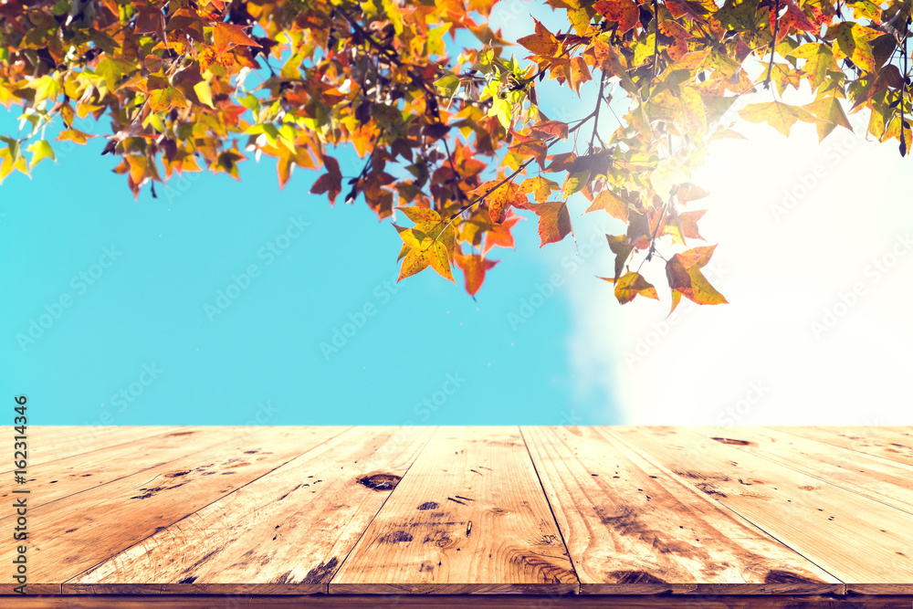Wall mural top of wood table with beautiful autumn maple tree on sky background - empty ready for your product 