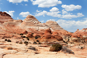 Fototapeta premium The Wave - Coyote Buttes South