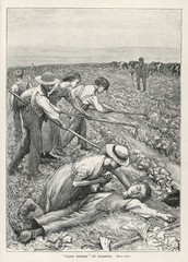 Child labour working in the fields. Date: 1867