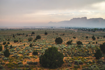 Desert Junipers and hazy mountains