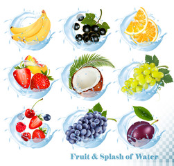 Big collection of fruit in a water splash icons. Banana, coconut, peach, orange, plums, strawberry, grapes, raspberry, blackberry, blueberry, cherry. Vector Set