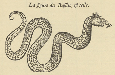 Folklore - Basilisk. Date: 1579