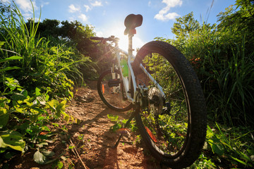 Fototapeta na wymiar mountain bike on sunrise summer forest trail