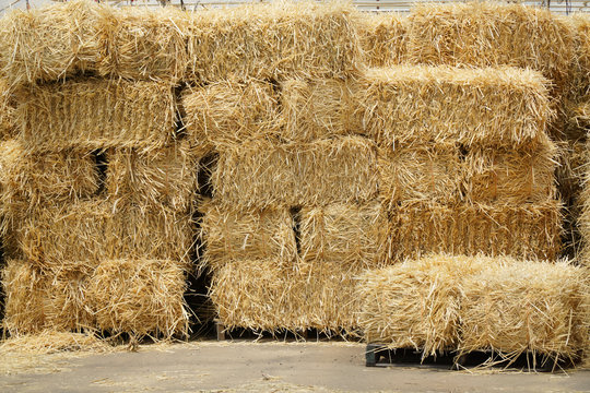 Bale Of Hay Images – Browse 116,869 Stock Photos, Vectors, and Video ...