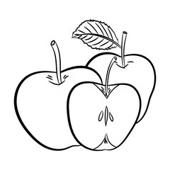 Line Drawing of Apples -Simple line Vector