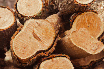 Close-up of log stack