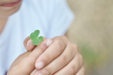 Four-leaf clover and hands of children