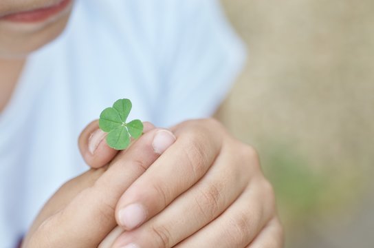 Four-leaf clover and hands of children