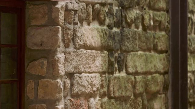 Stone wall of an old building with moss in Bopiliao Historical Block, a historical street in Taipei's old Wanhua District, Taiwan. 