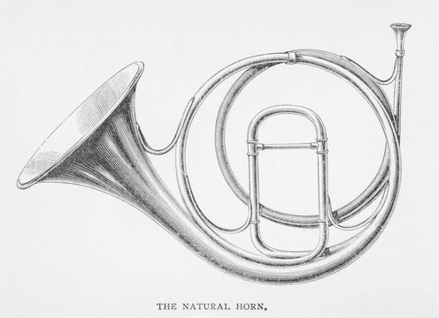 Natural Horn On Its Own. Date: 1897