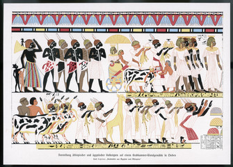 Egypt - Custom - Pharoah. Date: circa 1380 BC