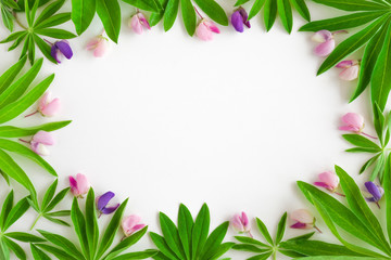 Fototapeta na wymiar Circle created from lupine flowers and green leaves on the white background. Greeting card in colorful summer style. Jungle style.