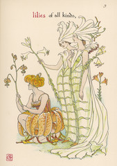 Plants - Lilium Sp.. Date: 1906