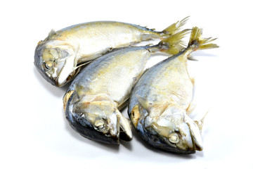 mackerel on white background