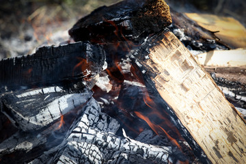 Bonfire in the field. Camp, holiday and rest background.